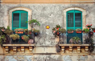 Plante balcon