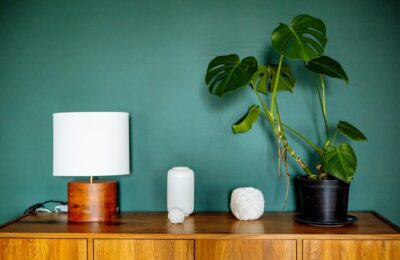 Monstera la ghiveci