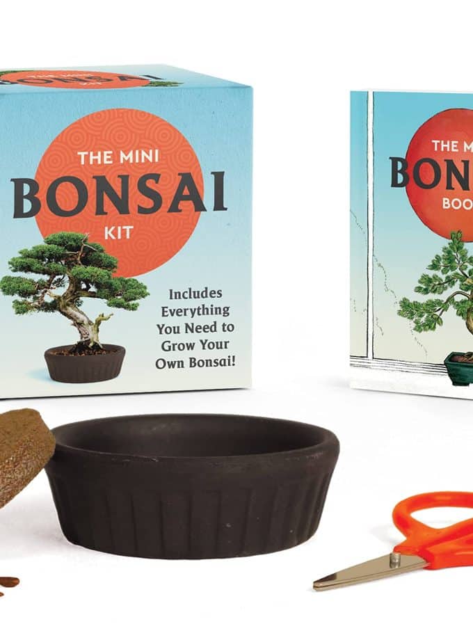 Kit plantare bonsai
