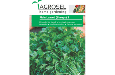 Seminte de patrunjel de frunze, Agrosel Plain Leaved