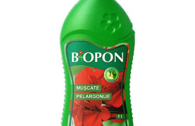 Ingrasamant Biopon pentru pelargonii (include muscata 422), 0.5 l