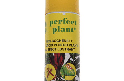 Spray insecticid anti-cochenille cu efect lustrant, Perfect Plant, 200ml