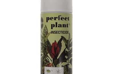 Spray insecticid universal, Perfect Plant, 600ml