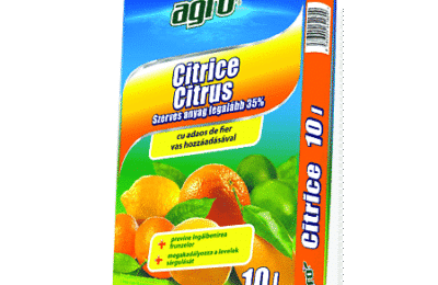 Pamant de flori pentru citrice, 10L