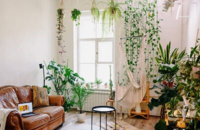 Plante de apartemnt in casa