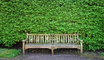 Gard viu in Romania: cele mai bune 5 optiuni, avantaje, sol, lumina si costuri